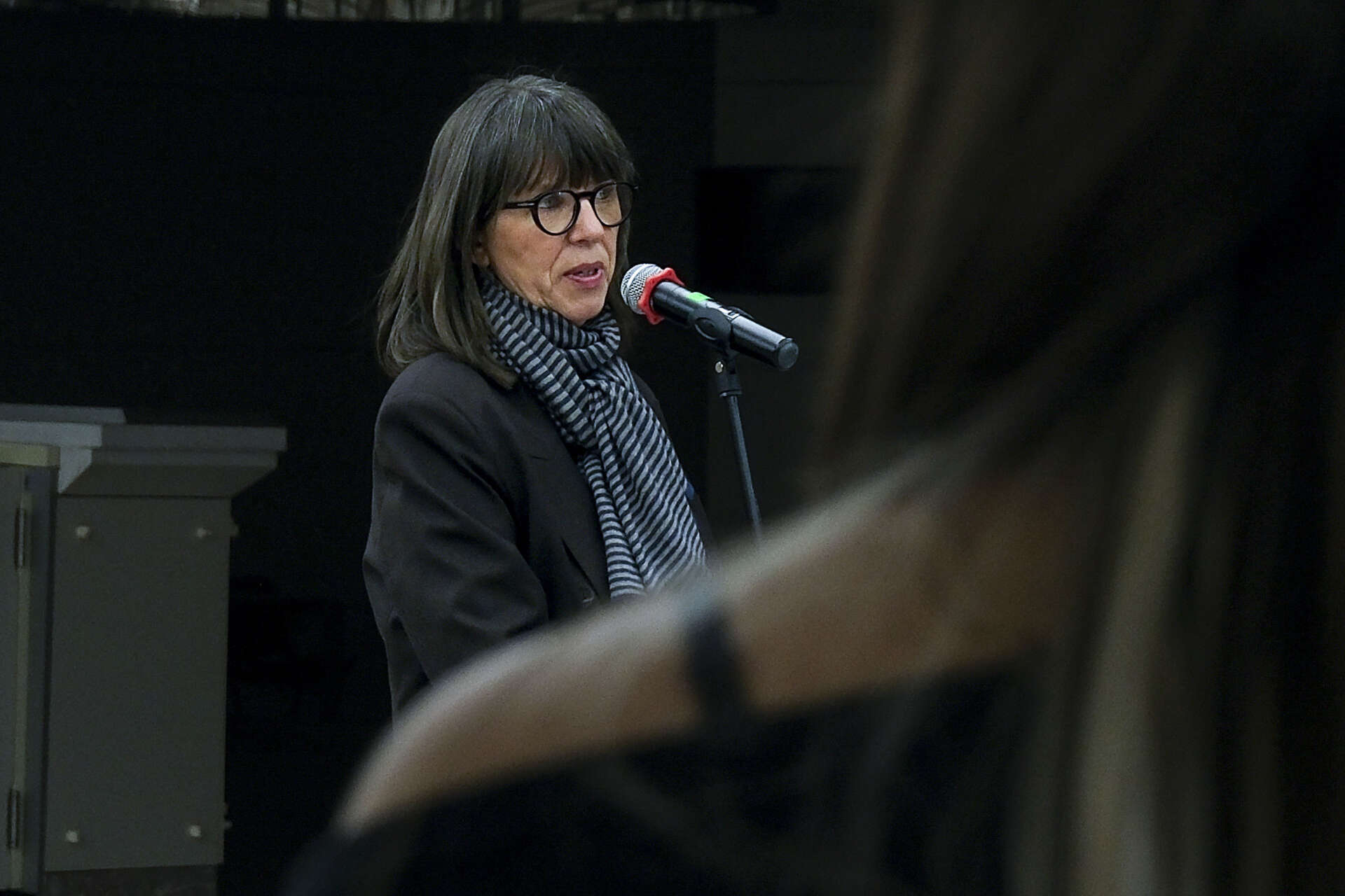 Lejla Klicic Transgeneracije 03