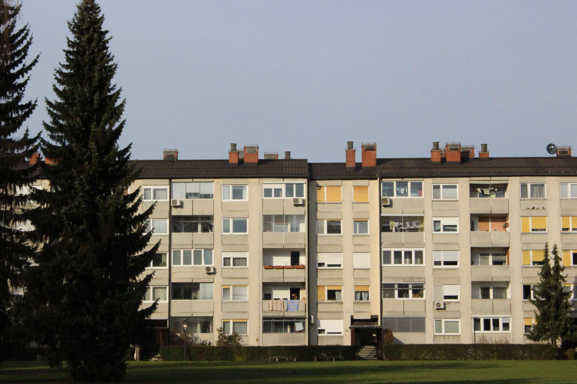 Rebeka F Gosak FOTO 1 D Likovna teorija 2017 Natasa Kosmerl 2