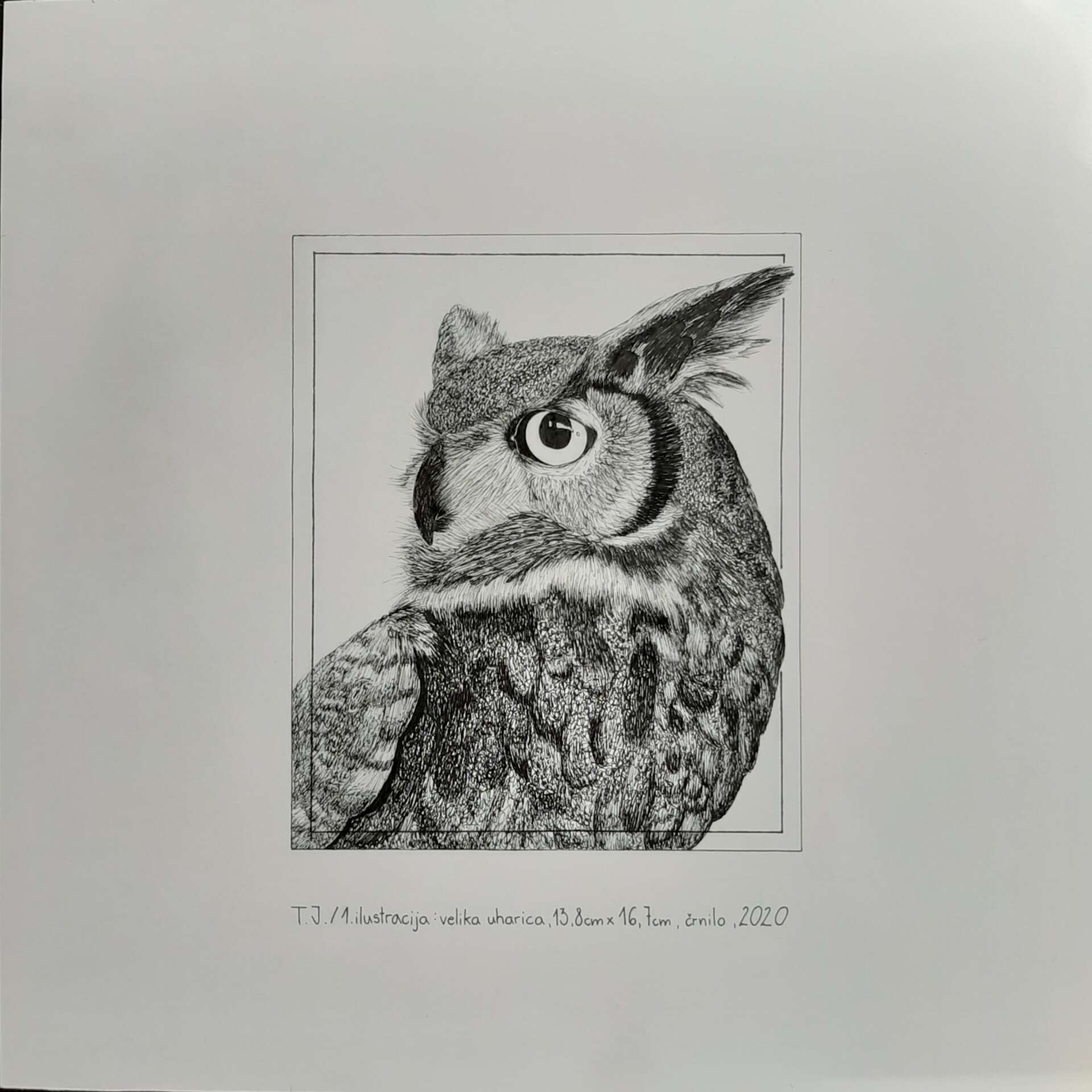 2 A GOB Tamara Jelusic Foto realizem v obl ilustracij 1 2020