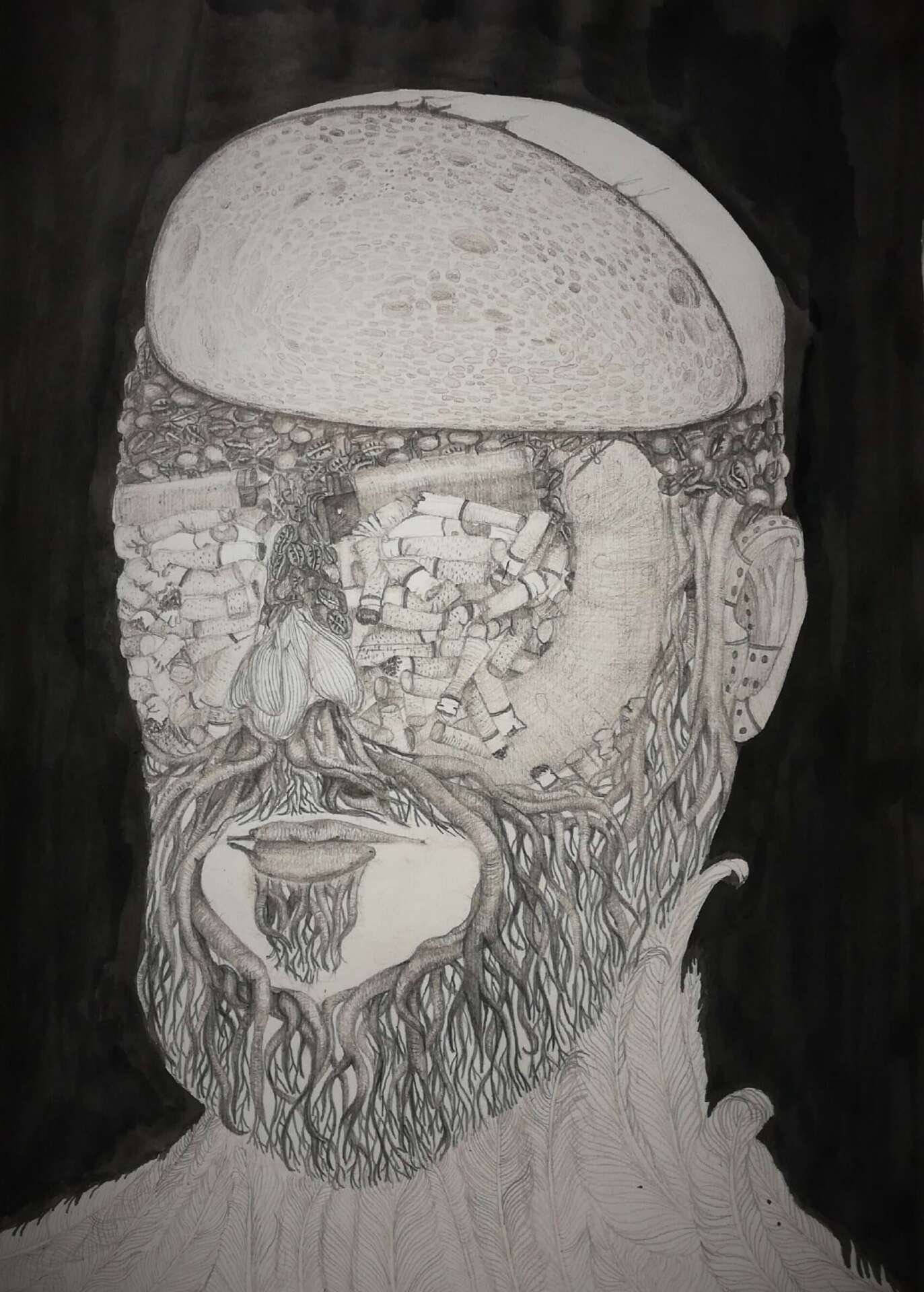 Anea Abdic archimboldo