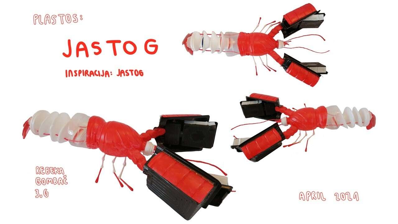 Diapozitiv25