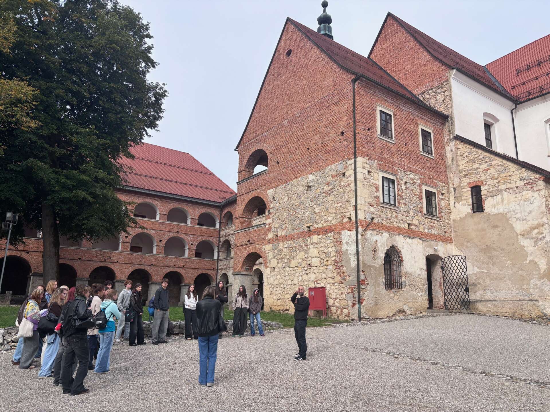 Kostanjevica na Krki 5
